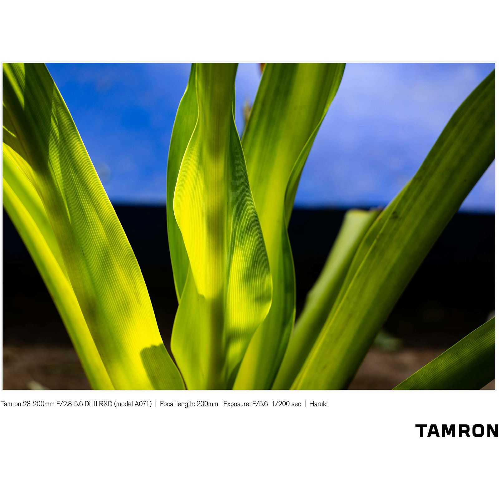 Tamron 28-200mm f/2.8-5.6 Di III RXD allround objektiv za Sony E-mount (A071SF)